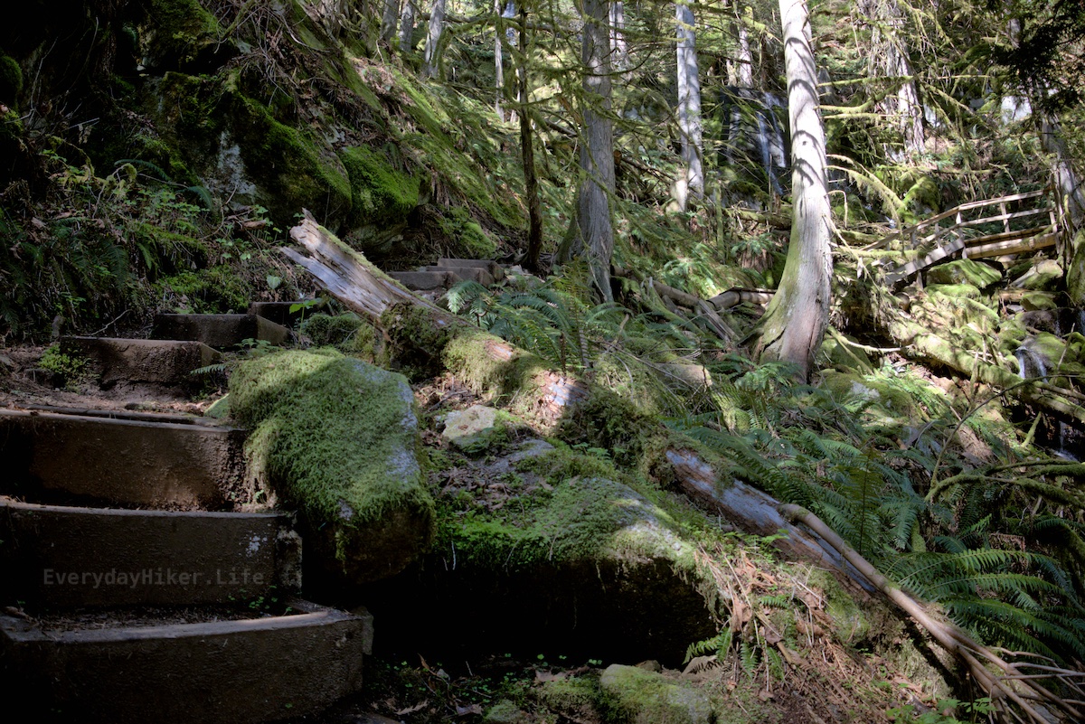 Steps along the trail leading to a small bridge crossing in the lush forest