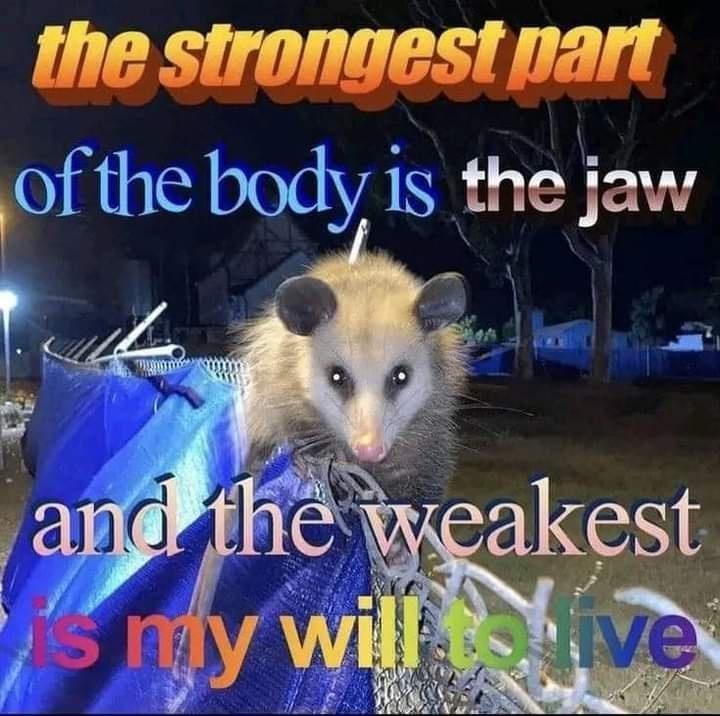 ​🇼​​🇮​​🇱​​🇱​ ​🇹​​🇴​ ​🇱​​🇮​​🇻​​🇪​