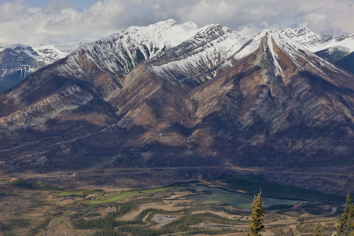 Looking across the river valley from the large bald at the top of Morro Peak.  Snow capped Esplanade mountain can be seen in the background.